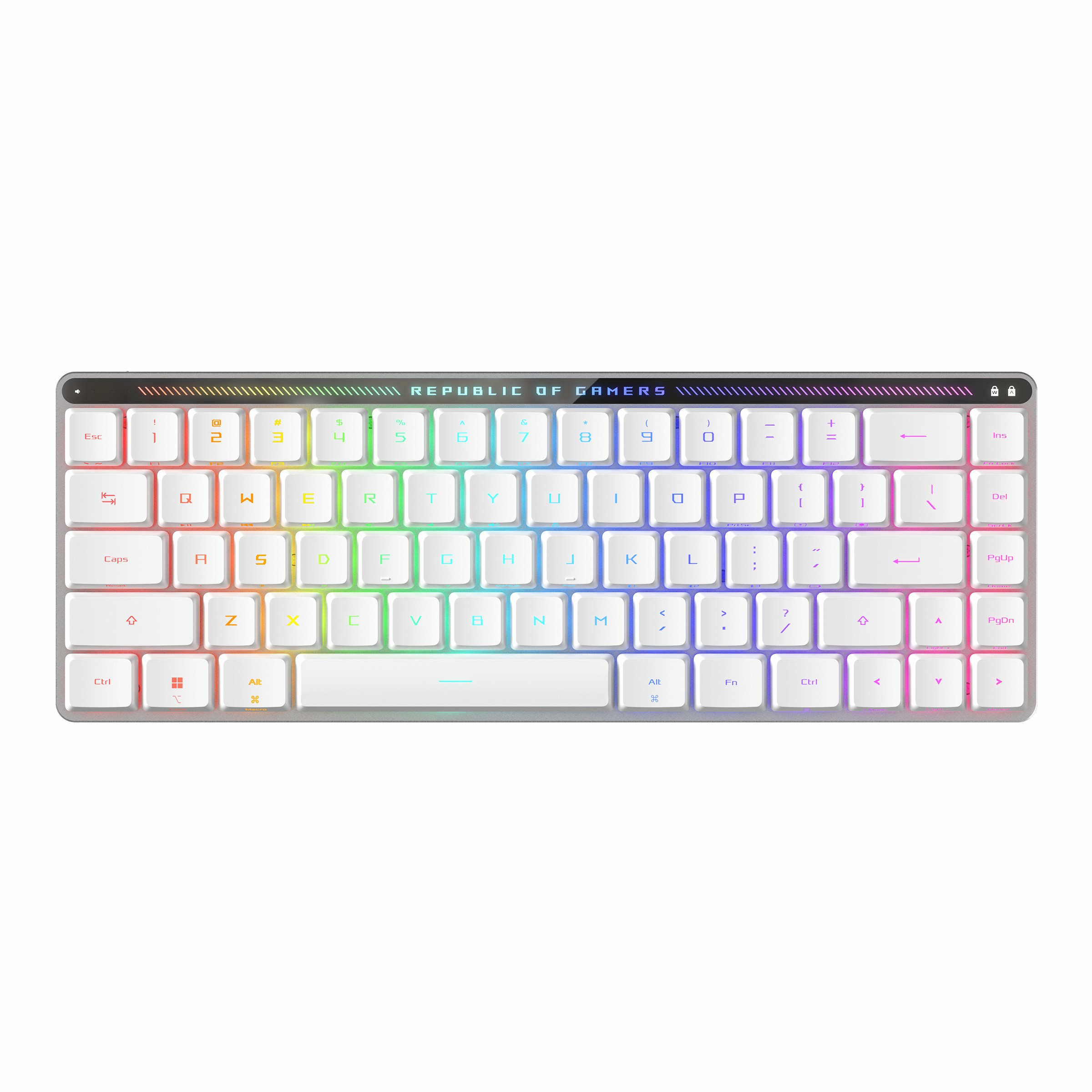 کیبورد ASUS ROG Falchion RX Low Profile